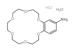 4'-氨基苯并-18-冠醚-6