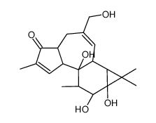 Deoxyphorbol