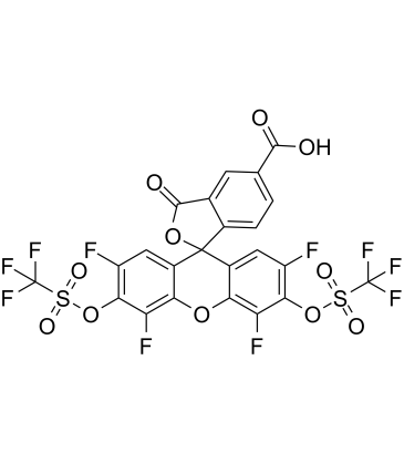 HKSOX-1