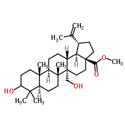 3,27-二羟基-20(29)-流明-28-酸甲酯