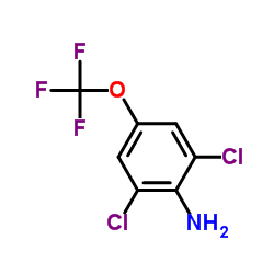 2,6-二氯-4-(三氟甲氧基)苯胺