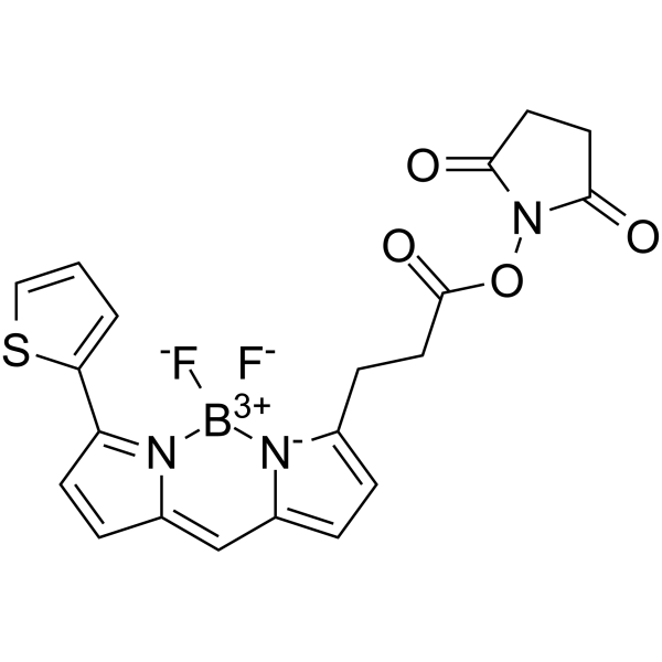 BDP 558/568 NHS ester