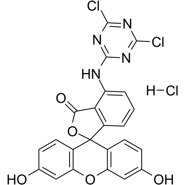 6-(4,6-二氯三嗪基)-氨基荧光素(盐酸盐)