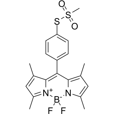 BODIPY-TS