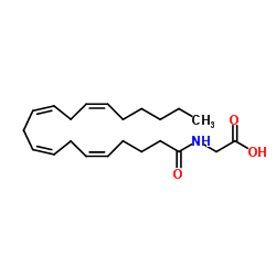 N-花生四烯酸甘氨酸(NAGly)