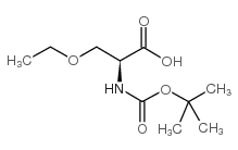 (S)-2-((叔丁氧基羰基)氨基)-3-乙氧基丙酸