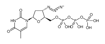 AZT triphosphate