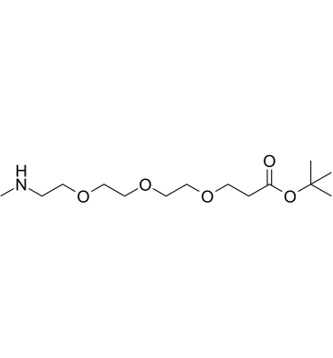 Methylamino-PEG3-t-butyl ester