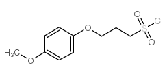 3-(4-甲氧基苯氧基)-1-丙磺酰氯