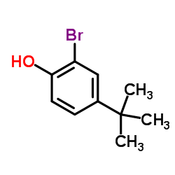 2-溴-4-叔丁基苯酚