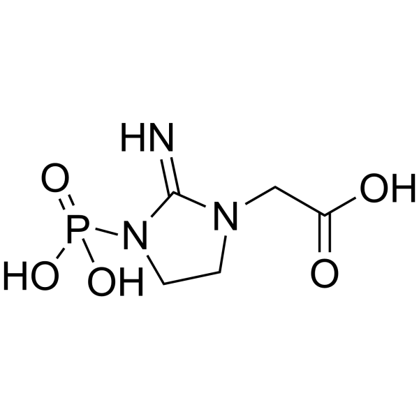 phosphocyclocreatine