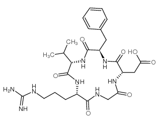 环(Arg-Gls-Asp-D-Phe-Val)