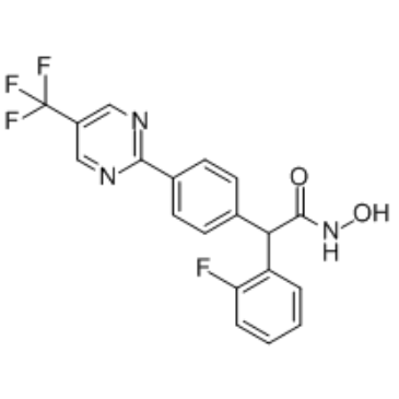 CHDI-390576