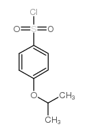 4-异丙氧基苯磺酰氯