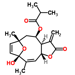 圆叶肿柄菊素 F