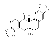 紫堇文碱