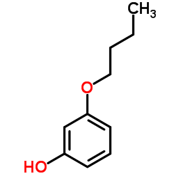 3-丁氧基苯酚