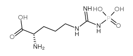 N-磷酸- L -精氨酸锂盐水合物