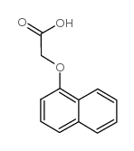 1-萘氧基乙酸