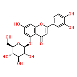 木犀草素 5-葡萄糖苷