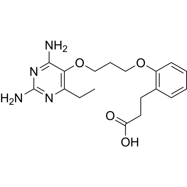 DHFR-IN-5