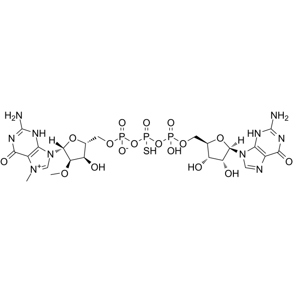 β-S-ARCA