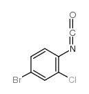 异氰酸4-溴-2-氯苯酯