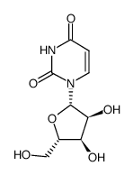 L-尿苷