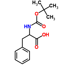 N-叔丁氧羰基-DL-苯丙氨酸