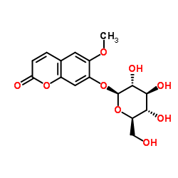 东莨菪甙； 东莨菪苷