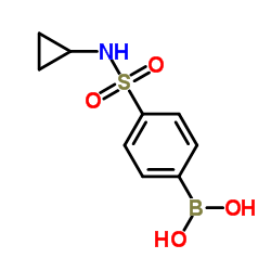 4-(环丙基氨磺酰基)苯硼酸