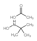 N-叔丁基羟胺醋酸盐