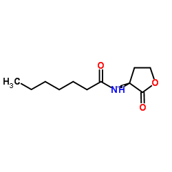 N-Heptanoyl-L-homoserine lactone