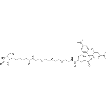 TAMRA-PEG3-biotin