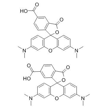 5(6)-羧基四甲基罗丹明