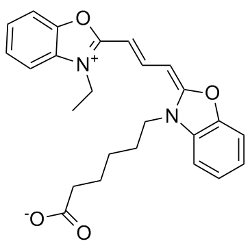 CY2