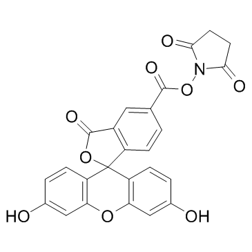 5-羧基荧光素琥珀酰亚胺酯