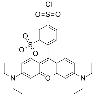 丽丝胺碱性蕊香红B磺酰氯