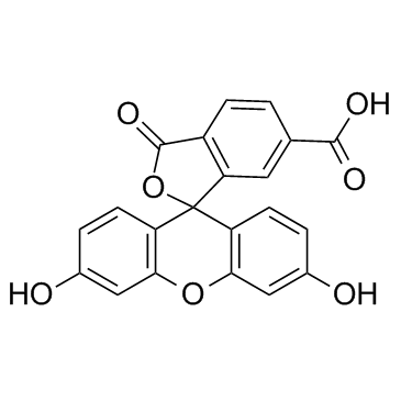 6-羧基荧光素