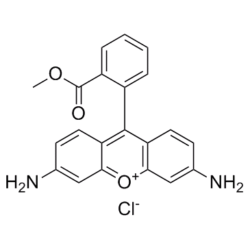 罗丹明123