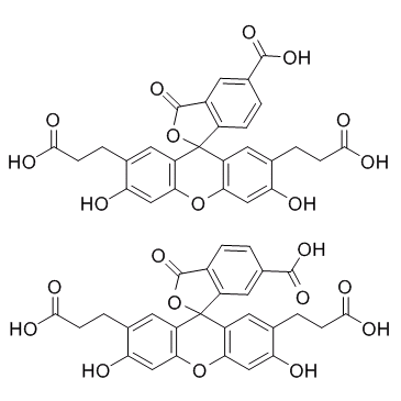 2,7-双-(羧乙基)-羧基-荧光素