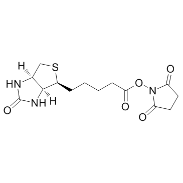 (+)生物素-N-琥珀酰亚胺基酯