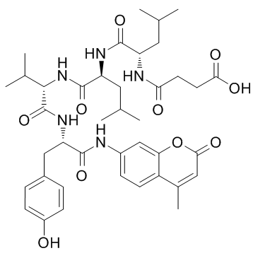 SUC-LEU-LEU-VAL-酪氨酸-AMC