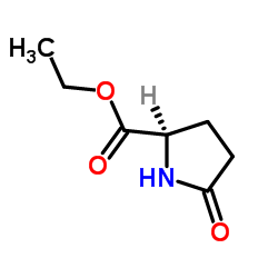 D-焦谷氨酸乙酯