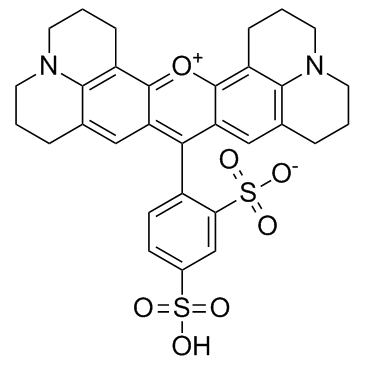 磺基罗丹明101