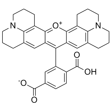 6-羧基-X-罗丹明