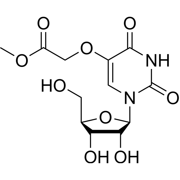 Uridine-5-oxyacetic acid methyl ester