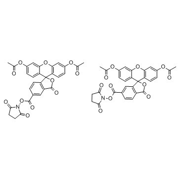 5(6)-羧基二乙酸荧光素琥珀酰亚胺酯(CFDA)