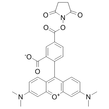 5-羧基四甲基罗丹明琥珀酰亚胺酯