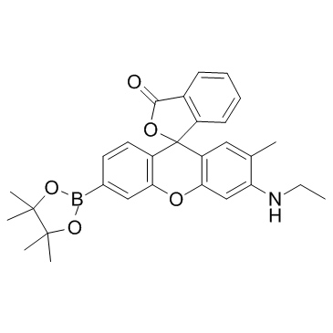 NucPE1